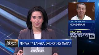 Ini Nih “Biang Kerok” Minyakita Langka & Mahal di Pasar