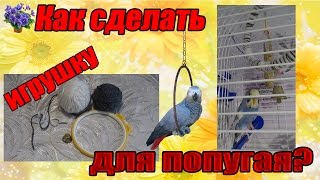 Как сделать игрушку кольцо для волнистого попугая своими руками?