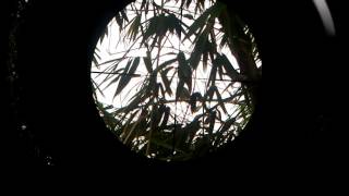 Scope terjernih di dunia!!  Bisa lihat guremnya burung