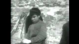 Comacchio - Comacchio e le sue Valli 1942