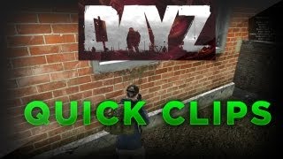 DayZ - Quick Clips