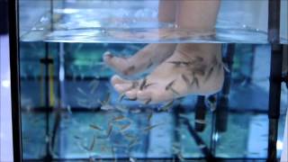 Telesha visits the Fish Spa