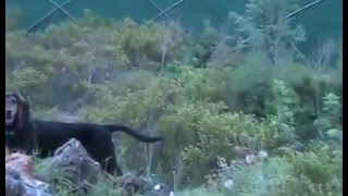ΕΚΠΑΙΔΕΥΣΗ ΓΚΕΚΑ ΜΑΚΗ ΑΠΟ ΜΕΓΑΡΑ
