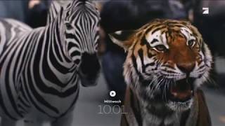 Zoo - Staffel 3 Trailer Deutsch