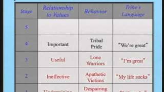 Tribal Leadership