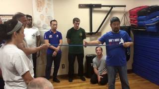 The "Stretch" and the "Dot" by Master Chen Zhonghua