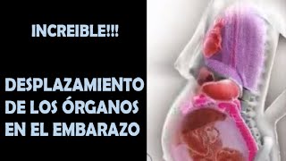 Adaptación del cuerpo en el embarazo