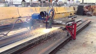 Thermion's AVD 350 Spraying Chicago Air Tram Rails