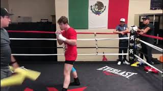 CANELO ÁLVAREZ WORKING ON POWER, LOOKING TO KNOCKOUT GENNADY GOLOVKIN