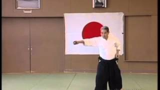 Shoji Nishio on Katadori Menuchi and Aikido Toho Iai