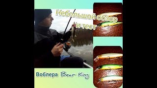 Небольшой обзор и тест воблеров от Bear King