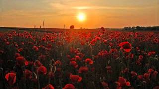 Nitin Sawhney & Ojos de Brujo - Shadowland