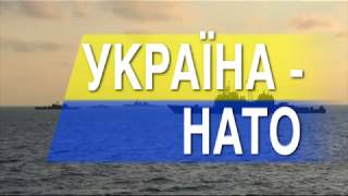 Безвизовый режим и ассоциация с ЕС: чего достигла Украина в 2017-м