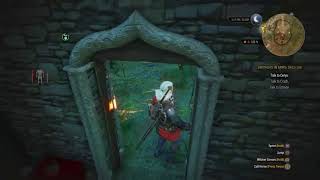 The Witcher 3: Angels in the cemetery