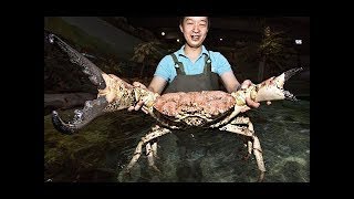 10 САМЫХ БОЛЬШИХ УЛОВОВ