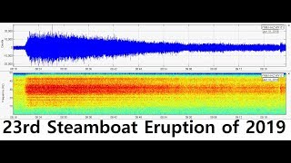 Yellowstone Caldera: Two Minor Swarms and Steamboat's 23rd Eruption of 2019