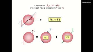 Капитонов И.М.- Взаимодействие фотонов и электронов с атомными ядрами - 2.Длинноволновое приближение