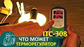 Терморегулятор Inkbird ITC-308: обзор-видеоинструкция на русском | Технологии Гордеевых | DIY