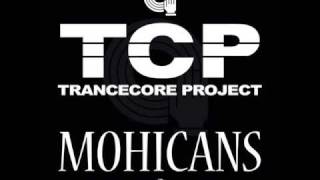 TransCore Project - Mohicans