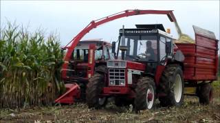 Mais hakselen, Maize harvest, Mais Hackseln, Fiat, International, schuitemaker, PZ