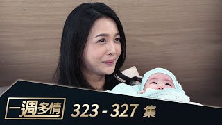 一週多情 EP323-327｜苦盡甘來？章純之子劫後誕生！