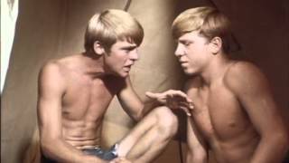 Flipper - Staffel 3, Folge 12 - Die Insel