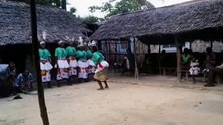 Jeshi Mzinga Mfalume Kaitsembeto Miziji