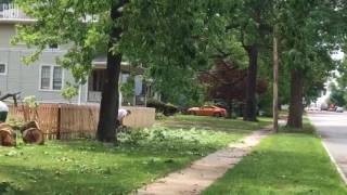 Crews clear fallen tree from house in Edwardsville