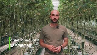 აგროტექნოლოგიები