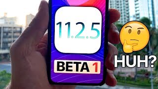 iOS 11.2.5 Beta 1! What's New Review