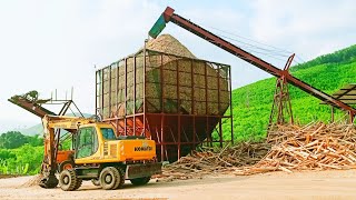 Độp Nhập Vào Nhà Máy Nhập Gỗ Keo Để Tìm Hiểu | Học Hỏi Official