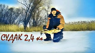 ЛОВЛЯ СУДАКА ЗИМОЙ. Catching big walleye