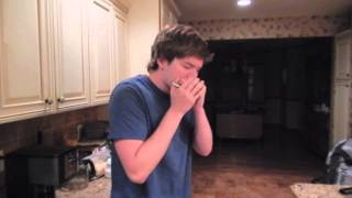 Harmonica Sample