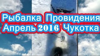 Рыбалка На Матлю Провидения Апрель 2016  Чукотка