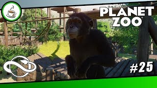 SCHIMPANSEN-GEHEGE SPEEDBUILD #25 «» PLANET ZOO Franchise Mode | Deutsch German