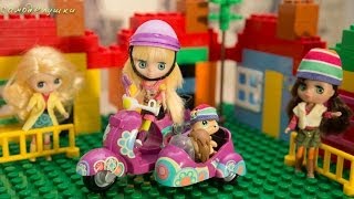 Коллекционируем вместе. Куклы Петит Блайз (Petit Blythe). Petit Blythe dolls with pet.