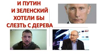 Израильский дипломат: И Путин и Зеленский хотели бы слезть с высокого дерева, но...