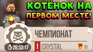 КОТЁНОК НА ПЕРВОМ МЕСТЕ! - CATS: Crash Arena Turbo Stars