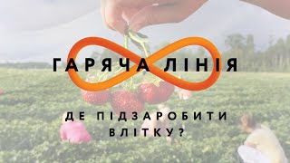 Де підзаробити влітку? – Гаряча лінія // 6.07.2020