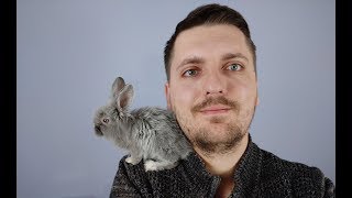 МОИ ПИТОМЦЫ!