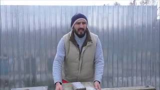Пока эксперты считают цену наших пчелопакетов !!!