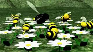 About a Bee
