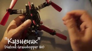 Квадрокоптер Diatone Grasshopper 160: Сломанная после первого полёта рама, планы