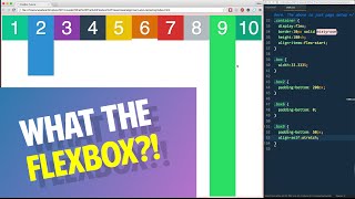 Flexbox Alignment + Centering with align-self! - Tutorial 9 of 20 ?