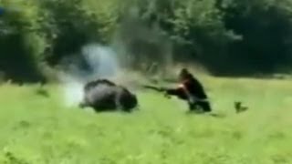 FUNNY PIGS HUNTING  ОХОТА НА КАБАНА!