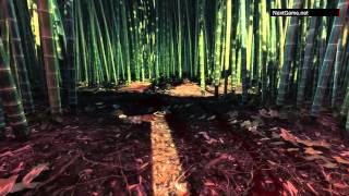 Shadow Warrior - Игровой Процесс (Gameplay) Русская Версия (Xbox One)