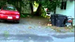 Ninja Squirrel Vs. Stoners
