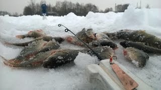За костур със зимна блесна "Минска"