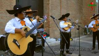 = Mariachi Peralta = Guantanamera  ( Milano , Lombardia , Italia )
