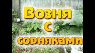 Возня с сорняками
